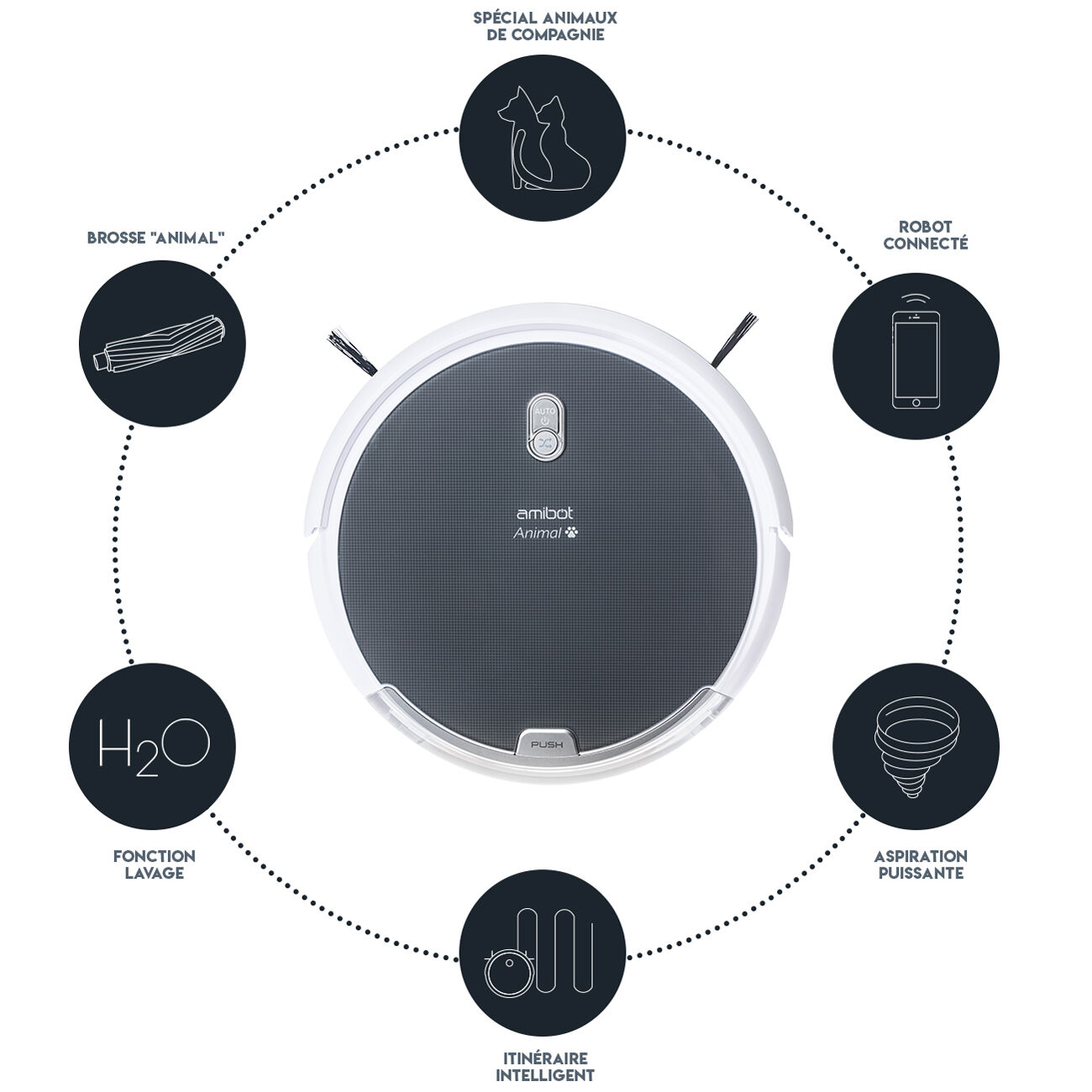 amibot animal présentation